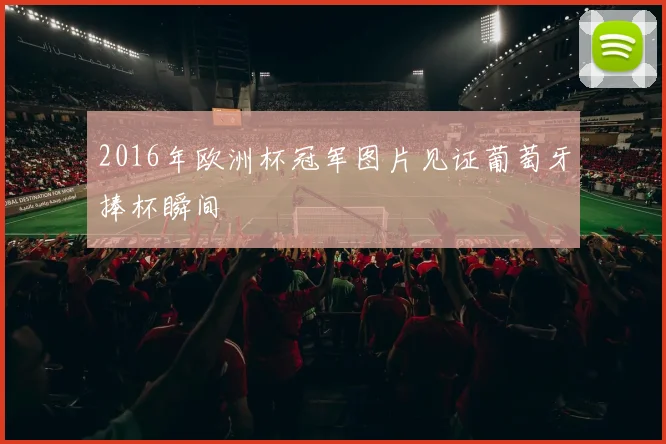 2016年欧洲杯冠军图片见证葡萄牙捧杯瞬间