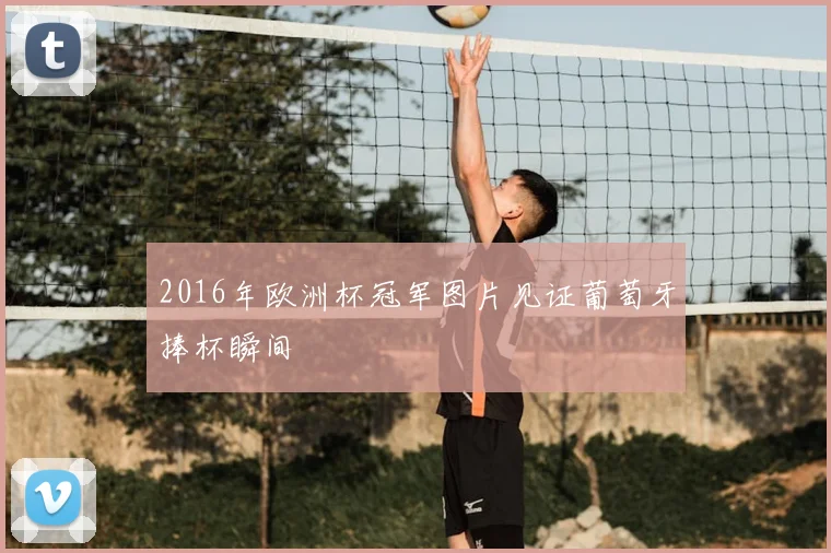 2016年欧洲杯冠军图片见证葡萄牙捧杯瞬间