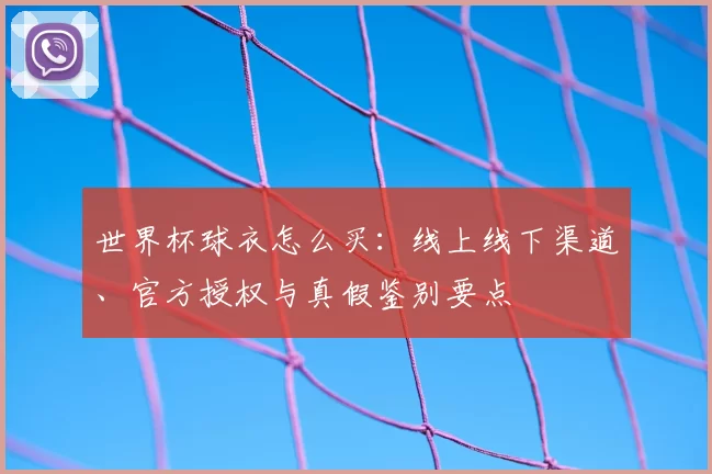 世界杯球衣怎么买：线上线下渠道、官方授权与真假鉴别要点