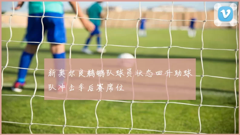 新奥尔良鹈鹕队球员状态回升助球队冲击季后赛席位