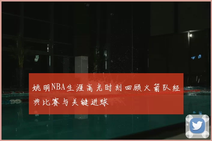 姚明NBA生涯高光时刻回顾火箭队经典比赛与关键进球