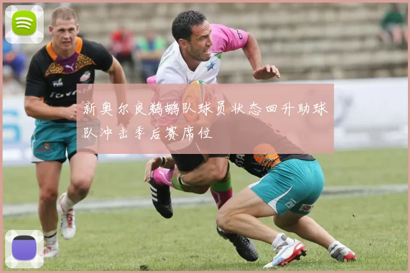 新奥尔良鹈鹕队球员状态回升助球队冲击季后赛席位