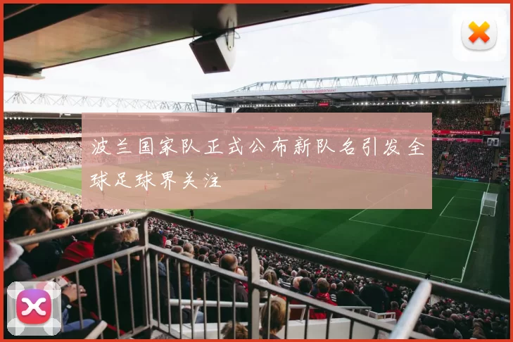 波兰国家队正式公布新队名引发全球足球界关注