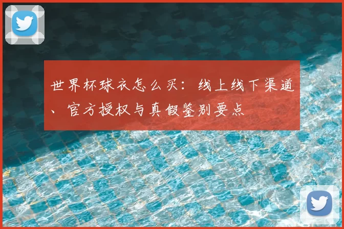 世界杯球衣怎么买：线上线下渠道、官方授权与真假鉴别要点